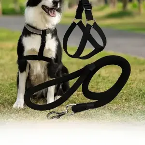 SaleThief 3-in-1 Dog Combo – Reflective Collar, Harness & Leash ( default, Standard )